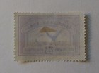 Argentina Airmail Stamp  1928  Sc c7  Mint  Vlh  Og  Wmk