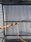 24  Manzanita Wood Bird Perch - Natural  Handcrafted  Pet Enrichment