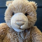 Kohl s Cares Gund Brown Bear 14  Plush Stuffed Animal Toy Claws 44184