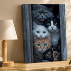 Stacked Cats Wall Art Canvas Print Multi Cat Portrait Animal Decor Home Painting