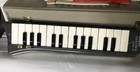 Vintage Hohner Melodica Piano 26 Germany W case music Book 2 Mouthpieces Works