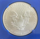 2017 American Silver Eagle   Ngc Ms 70   First Day Of Issue   Blue Core Holder
