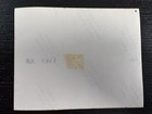 July 1977 Vintage Original Elvis Presley Concert Fan Photo Picture