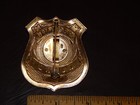 Obsolete Vintage Security Guard Star Badge