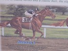 Rolling Rock Beer  Latrobe  Pa   classics Of Horse Racing   Framed Sign 24 x18 
