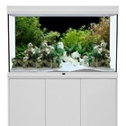 Aquarium Background River Bed   Lake Aquatic Plant Fish Tank Background Vinyl 48