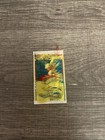 Algonkin First Nations Ribbon Rectangle Boy Scout Badge Cloth Patch