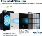 Airmega Ap1512hh Replacement Filter Compatible With Coway Air Purifier 4 Hepa