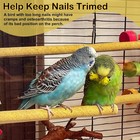 S x Sand Perch Covers For Parakeets Canaries Finches   Small Cover X 6 