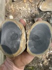 25 Lbs Cobden Flint chert Flint Knapping Flintknapping Material Arrowheads