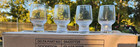 Alessi For Delta Airlines Cordial Short Stem Glasses  Wine Glass 10 Pcs