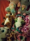   Lot Of 15  ty Beanie Boos  Plush Animals     Stuffed Toys Collection     Kids Gift