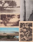 Cameroun Cameroon Kameroun 41  Vintage Africa Postcards Pre-1970  l5001 