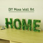 Diy Reindeer Moss Kit  Natural Green For Crafts  Art  D  cor  0 85lb 