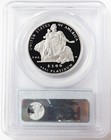 2004 W Proof Platinum  100 American Eagle 1 Oz Statue Of Liberty Pcgs Pr 70 Dcam