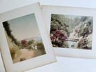19th Century Japanese Scenes   Geishas Mounted Photos Antique 48 Images