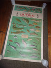 Rare Orig Imperial Whiskey Sportsman Fishing Fish Large Poster Sign Art Ad Print