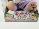 Fisher Price Briarberry Collection Baby Kristin Sister Bear Plush New Sealed