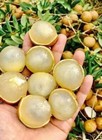 Rare Longan   Ping Pong Longan       1 Bare-root Plant   Graft  