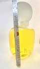Graham Webb Bodacious Vintage Giant Glass Factice Perfume Bottle Eau De Parfum