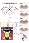 54in Fiery Dragon Kite 160in Tail Single Line Kids Adults Outdoor Toy