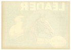 Leader Vintage Riverside Lemon Crate Label  Racehorse  An Original Citrus Label