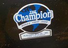 Replacement Champion Juicer 1 3 Hp  G5-ng-853s -black Motor    Only