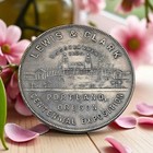 1905 Lewis   Clark So-called Dollar Hk-328 Silvered Bronze Au Medal