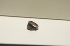 Sterling Us Paratroopers Ring Ww Ii 11th A b Division Size 9