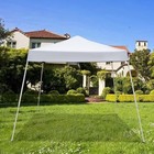 10  X 10  Pop Up Gazebo Slant Leg Canopy  Outdoor Canopy Party Wedding Tent