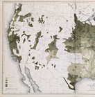 1880  United States Map Original  Foreign Population   16x10  Dated - Gannett