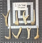 One Pound Of Small Natural Deer Antler Dog Chews   big_buck_bites_llc  