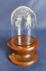 Vintage 6 5  X 4  Glass Dome Bell Jar cloche Display Case Wood Base