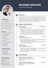 Professional Resume Template Digital Cv   Modern Clean Editable Word Canva Ats