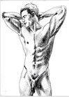 Male Nude Ink Drawing Young Men Original Fine Art   Signed   