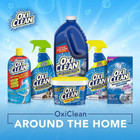 Oxiclean Carpet And Rug Cleaner  Pet Stain And Odor Remover Spray  24 Fl Oz