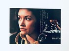 Original Black Christmas 1974 Olivia Hussey Japanese Movie Flyer Chirashi B5