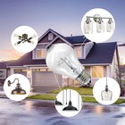 100 Watt Incandescent Light Bulbs  A19 Clear Incandescent Rough Service Light   