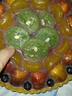 Fruit Tart Realistic Artificial Fake Food Replica Pastry Prop 3d Display