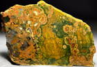 Rainforest Jasper - Australia 5 25 x3 4  Jasper Agate Lapidary Rough Slab R2