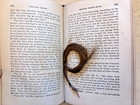Victorian Mourning Hair Keepsake Found Inside 1866 Antique Book Theodosia Ernest