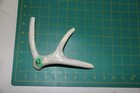 Small Branched Deer Antler Dog Chew  2   Bone Chews Deer Elk Treats Deer 1018