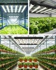 2026 Ctlite Fd4000 Led Grow Light 6bar Full Spectrum Commercial Grow Hydroponics