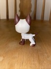 Littlest Pet Shop  577 White Brown Great Dane With Brown Blue Clover Eyes