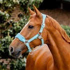 Horseware Signature  Grooming Headcollar-closeout