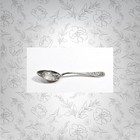 Antique Sterling Silver Chicago Souvenir Spoon 1837 Native American Chief Portra