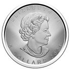          Canada Winnipeg  5 Dollars Silver Coin  Tailored Maple Leaf  Unc  2021