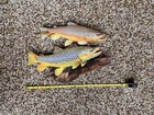 Brown Trout Replica Duo Wall Art -21 Inch Realistic 2d Flat Metal Trout Art