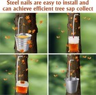 19pcs Upgraded Maple Syrup Tapping Kit Include 4 Stainless Steel Maple Tree Taps