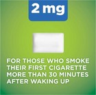 Amazon Basic Care Nicotine Gum 2mg Cool Mint Flavor 160 Pieces New Exp  08 26